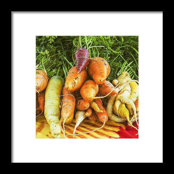 Carrots Framed Print featuring the photograph Fresh Carrots by Vishwanath Bhat