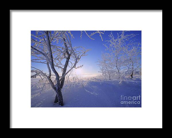 Ice Framed Print featuring the photograph Fresh Cold Air by Dan Jurak