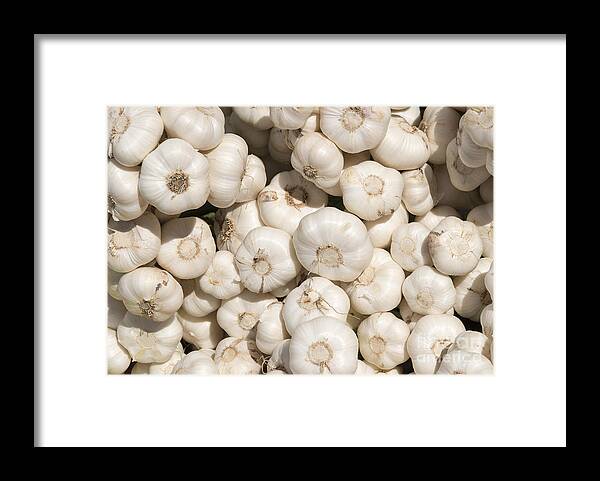 Garlic Framed Print featuring the photograph Fresh Garlic by Michael Dawson