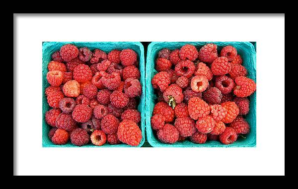 Blue Framed Print featuring the photograph Fresh Raspberries by David Kay