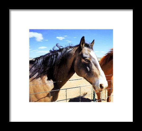 Horse Framed Print featuring the painting Working Horse by Jim Buchanan
