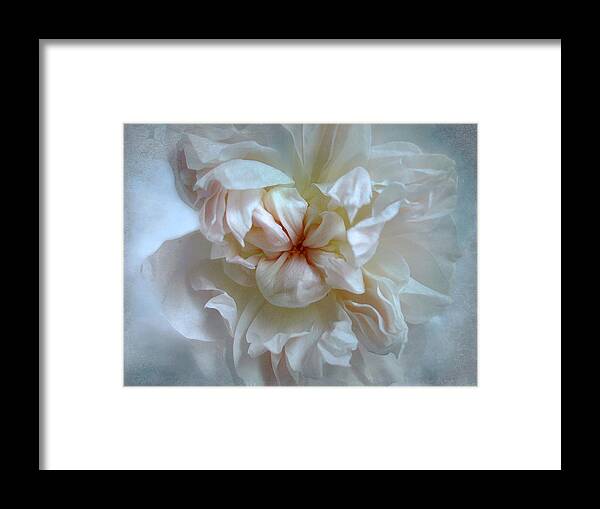 Rose Framed Print featuring the photograph Friendship is the Breathing Rose by Louise Kumpf