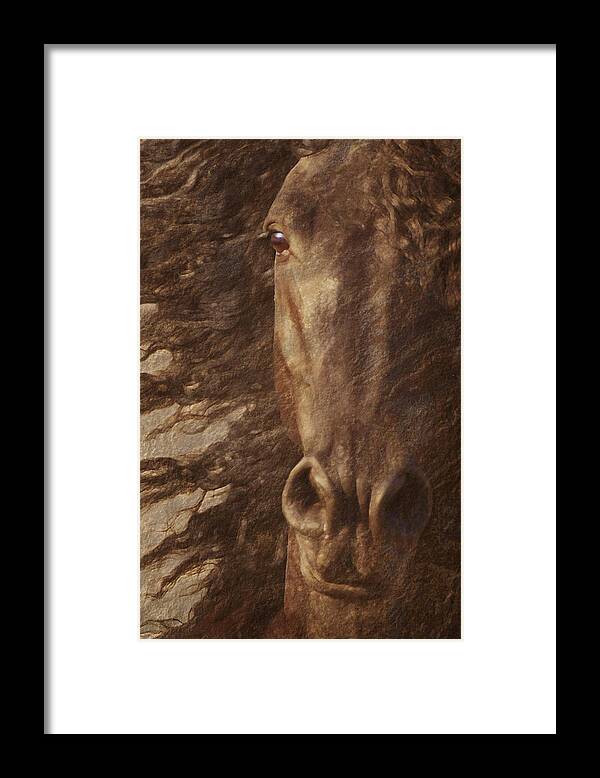 Bey Stallion Framed Print featuring the photograph Friesian Spirit by Melinda Hughes-Berland
