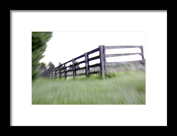Grass Framed Print featuring the photograph Fright or Flight by Jean Macaluso