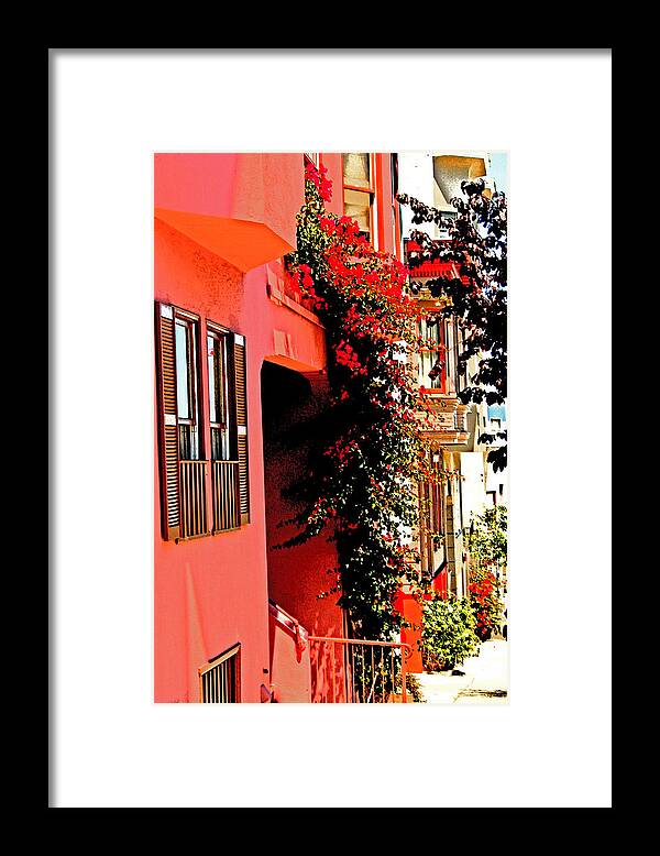 Telegraph Hill Framed Print featuring the photograph Frisco Street Flowers by Joseph Coulombe