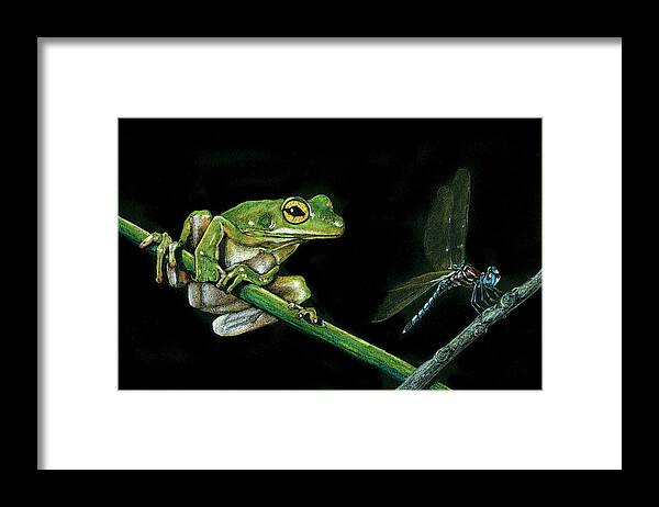 Wildlife Framed Print featuring the drawing Frog and Dragonfly by William Underwood