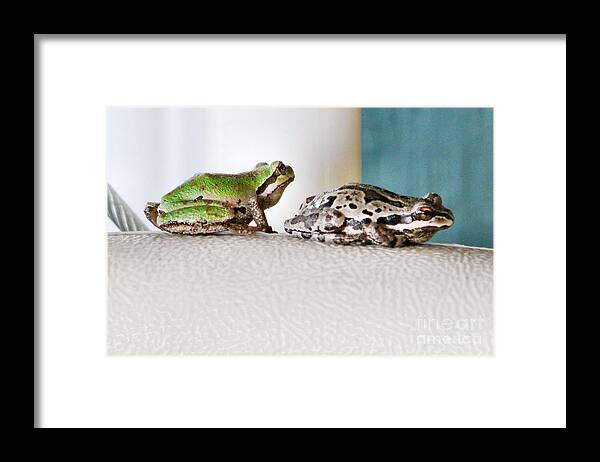 Frog Framed Print featuring the photograph Frog Flatulence - A Case Study by Rory Siegel