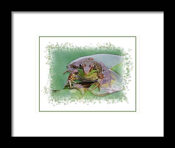 Frog Framed Print featuring the photograph Frog on a Lotus Pad by Mike Kling