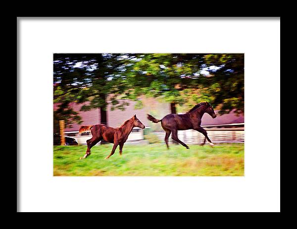 Animals Framed Print featuring the photograph Frolicking Friends by Donna Doherty