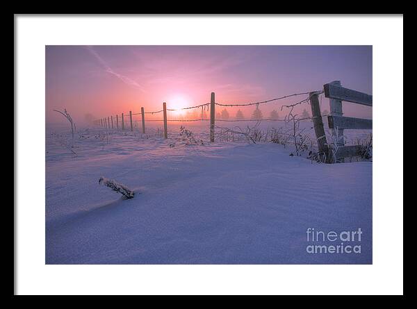 Frosty Framed Print featuring the photograph Frost and Fenceline by Dan Jurak