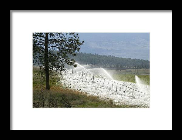Kelowna Framed Print featuring the photograph Frosted Irrigation by Laura Tucker