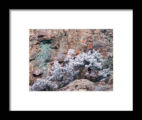 Cooper Rock Tree Frost Boulder Colorado Rock Mountains Winter Colorful Rocks Framed Print featuring the photograph Frosted trees by George Tuffy