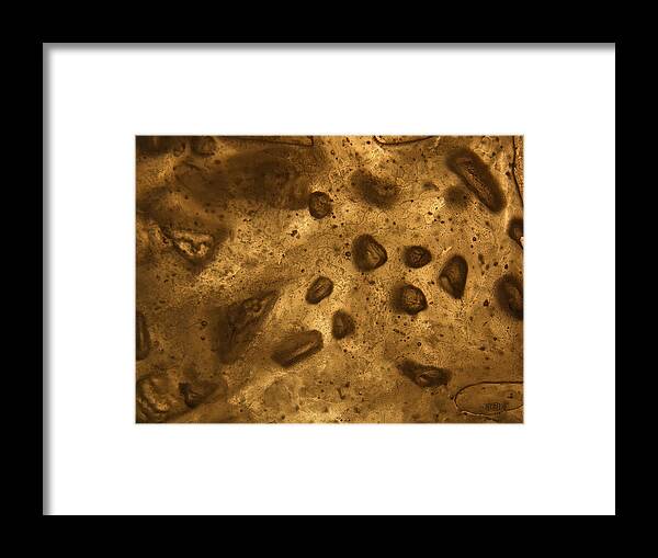 Frosty Framed Print featuring the photograph Frosty Bubbles by Sami Tiainen