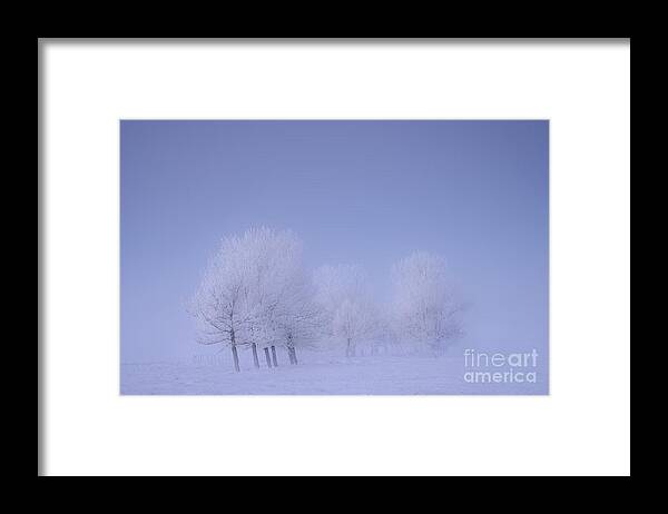 Frost Framed Print featuring the photograph Frosty Friends by Dan Jurak