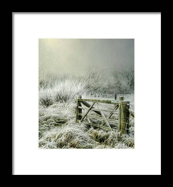 Winter Framed Print featuring the photograph Frosty Gate by Brian Tarr