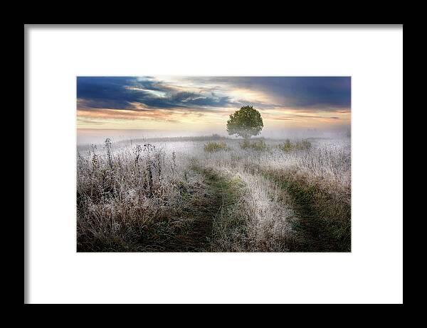 Frost Framed Print featuring the photograph Frosty Morning by Kirill Volkov