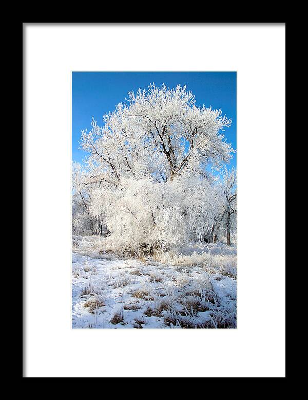 Frost Framed Print featuring the photograph Frosty Morning by Shane Bechler