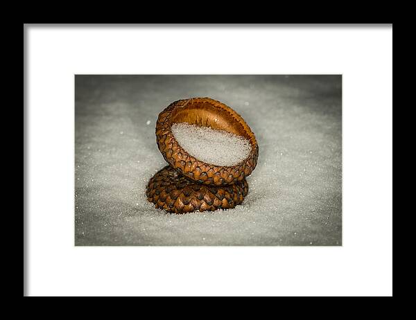 Nature Photograph Framed Print featuring the photograph Frozen Acorn Cupule by Paul Freidlund