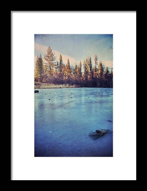 Burney Framed Print featuring the photograph Frozen by Laurie Search