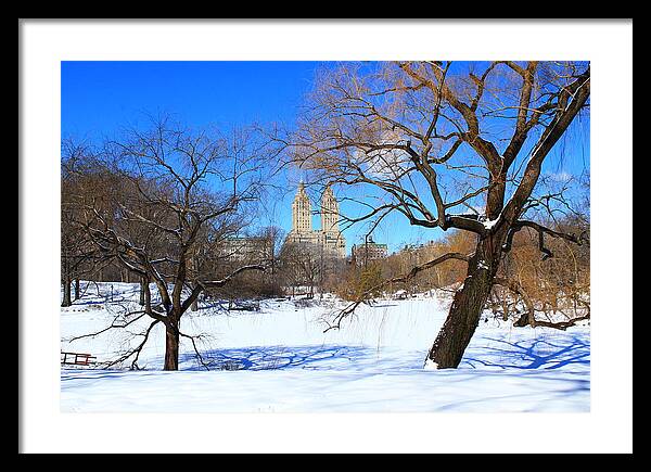 Central Park Framed Print featuring the photograph Frozen over by Catie Canetti