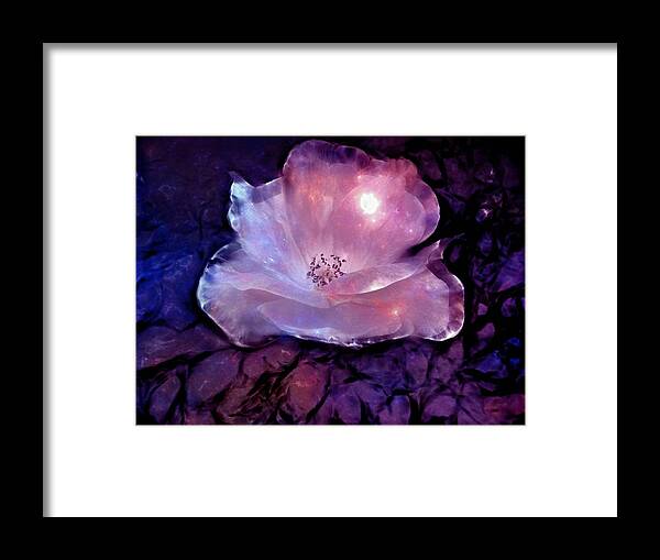 Rose Framed Print featuring the digital art Frozen Rose by Lilia D