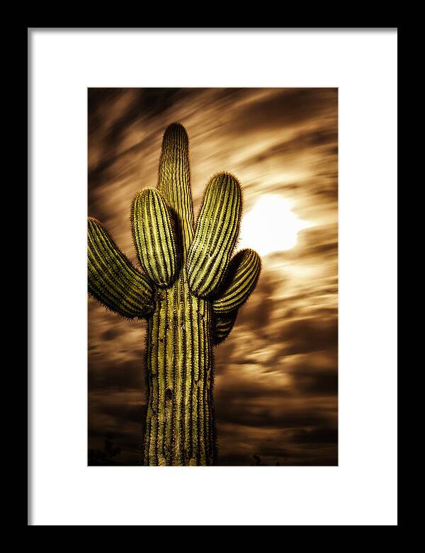 Arizona Framed Print featuring the photograph Full Moon Saguaro by Anthony Citro