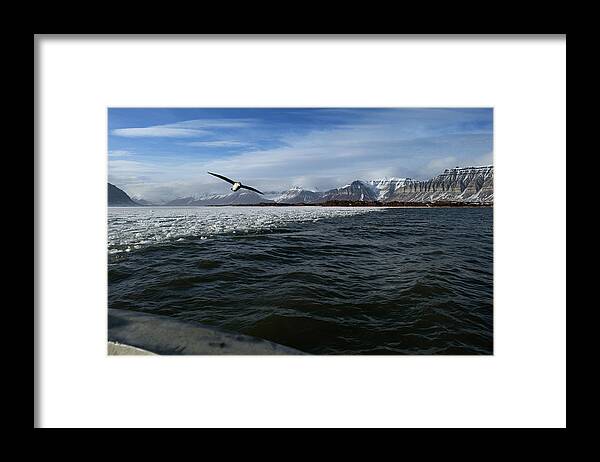 Scenics Framed Print featuring the photograph Fulmars Bird In Arctic Summer by Erika Tirén/magic Air