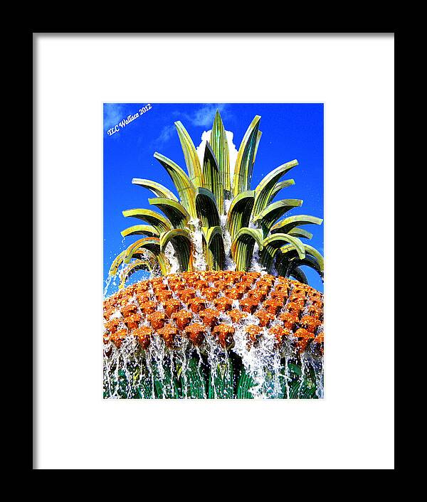 Charleston Framed Print featuring the photograph Funky Fountain by Tammy Wallace