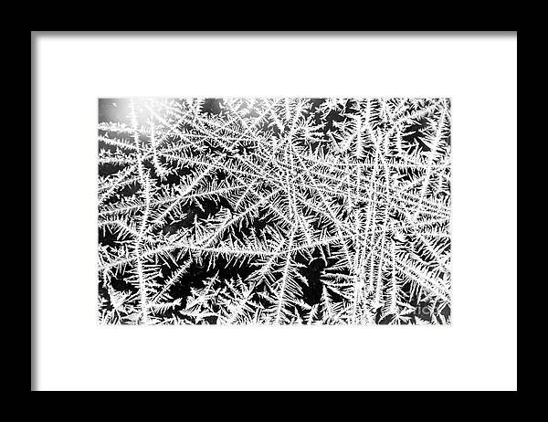 Frost Framed Print featuring the photograph Funky Frost by Cheryl Baxter