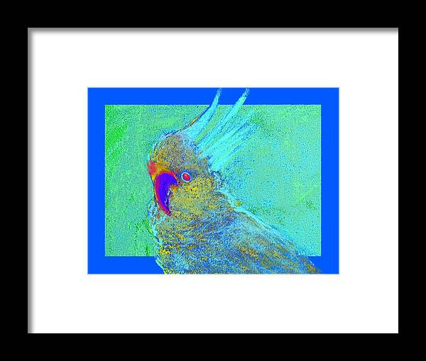 Art Framed Print featuring the painting Funky Sulphur Crested Cockatoo Bird Art Prints by Sue Jacobi