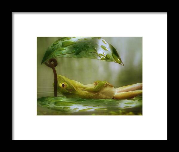 Lazin Framed Print featuring the photograph Funny Happy Frog by Jack Zulli