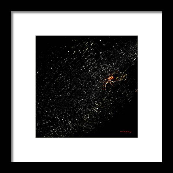 Spider Web Photograph Canvas Print Framed Print featuring the photograph Galaxy Web by Lucy VanSwearingen