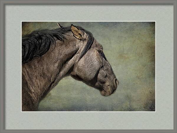 Garcia No. 1- Pryor Mustangs by Belinda Greb
