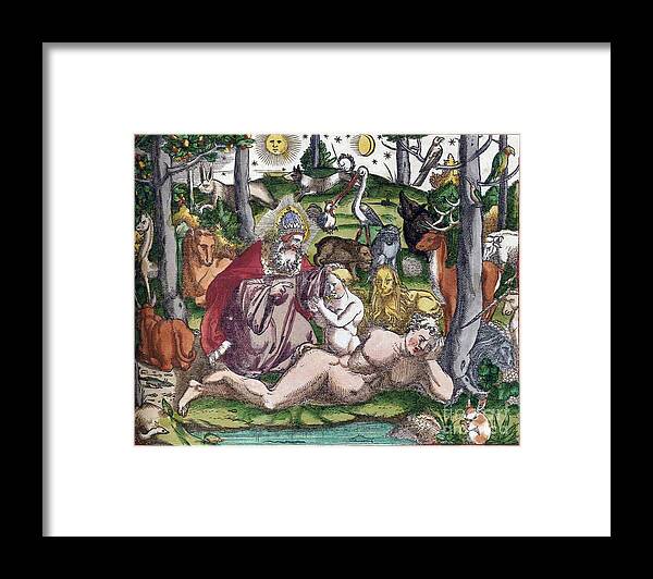 Science Framed Print featuring the photograph Garden Of Eden Historiae Animalium by Science Source