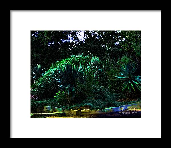 Lazy 5 Ranch Framed Print featuring the photograph Garden Of The Dark by M Three Photos