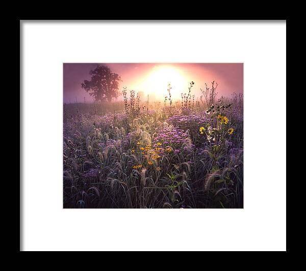 Glacial Park Framed Print featuring the photograph Garden Prairie by Ray Mathis