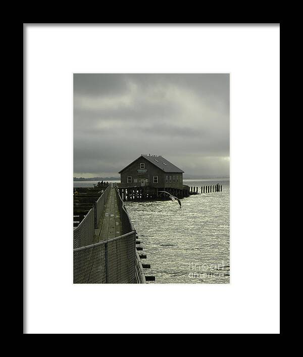 Nature Framed Print featuring the photograph Garibaldi Pier 2 by Gallery Of Hope 