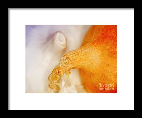 Garlic Framed Print featuring the photograph Garlic and onion by Nick Biemans
