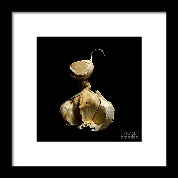 Food And Drink Framed Print featuring the photograph Garlic by Bernard Jaubert