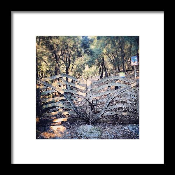 Mountains Framed Print featuring the photograph #gate To The #mountains. #tramuntana by Balearic Discovery