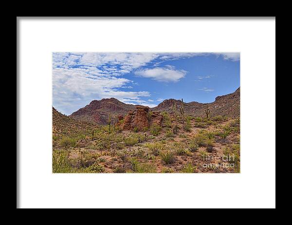 Gates Framed Print featuring the photograph Gates Pass Scenic View by Donna Greene