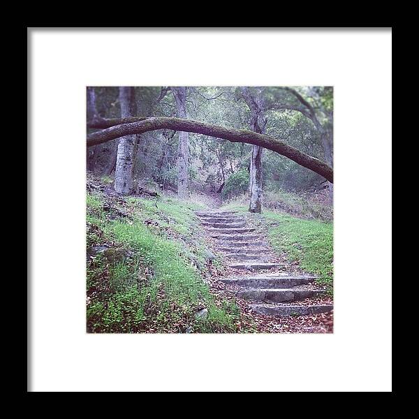Trail Framed Print featuring the photograph Gateway. #pr_photo #iphoneography by Philip Lee Richardson