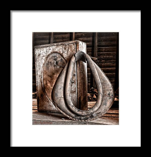 Rustic Photograph Print Framed Print featuring the photograph Gathering Dust by Lucy VanSwearingen