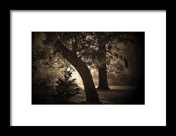 Bench Sitting Among Trees-sepia Framed Print featuring the photograph Gathering Thoughts by Steve Godleski