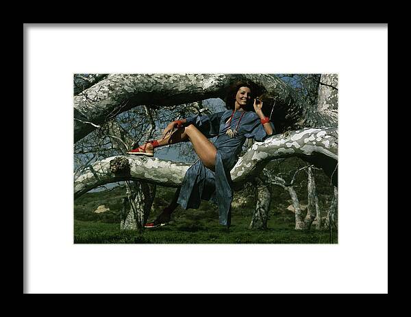 Fashion Framed Print featuring the photograph Gayle Hunnicutt In A Tree by Henry Clarke