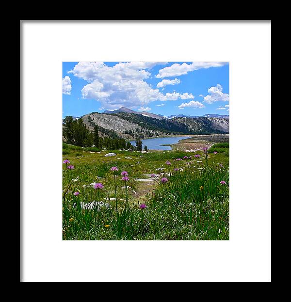 Gaylor Lakes Framed Print featuring the photograph Gaylor Lakes and Wild Onions by Frank Lee Hawkins by Frank Lee Hawkins