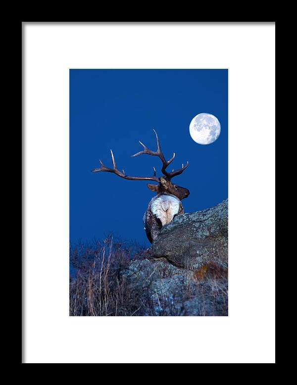 Moon Framed Print featuring the photograph Gazing At The Moon by Shane Bechler