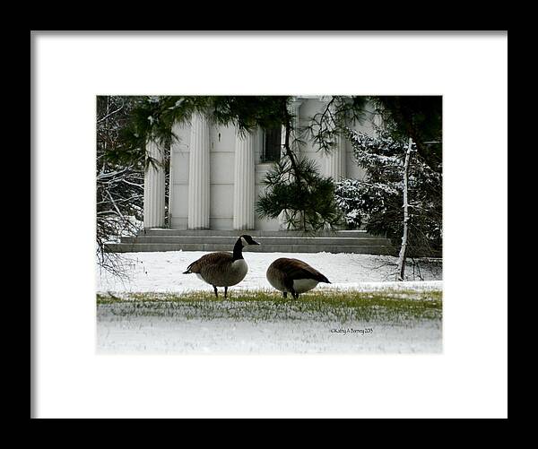 Geese Framed Print featuring the photograph Geese in Snow by Kathy Barney