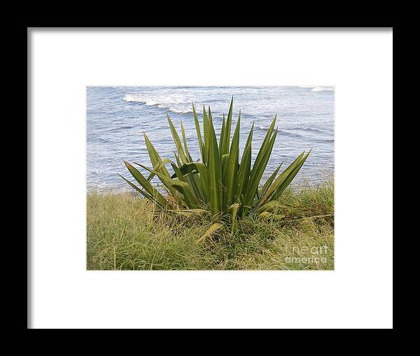 Floral Framed Print featuring the photograph Gentle Surf of Maui by Fred Wilson