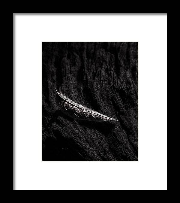 Tree Framed Print featuring the photograph Gently Resting by Bob Orsillo
